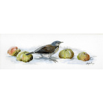 visiting-birds-paintings-fieldfare-with-apples-suzanne-perry-art