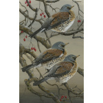 visiting-birds-paintings-fieldfares-autumn-jewels-suzanne-perry-art-208