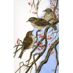 visiting-birds-paintings-redwings-threes-a-crowd-suzanne-perry-art-098