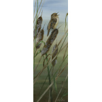 visiting-birds-paintings-sedge-warbler-suzanne-perry-art-128