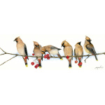 visiting-birds-paintings-waxwings-suzanne-perry-art-026