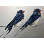 visiting-birds-swalows-aluminium-sp-art-403_616050525