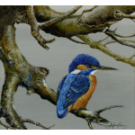 water-and-coastal-birds-paintings-kingfisher-breakfast-branch-suzanne-perry-art-253