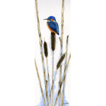 water-and-coastal-birds-paintings-kingfisher-bullrushes-suzanne-perry-art-015a