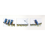 water-and-coastal-birds-paintings-kingfisher-chain-gang-suzanne-perry-art-034